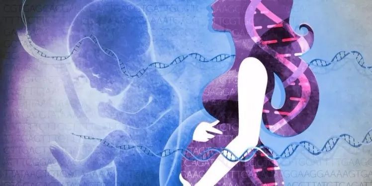 人类胚胎的基因编辑是否有临床价值？|观点