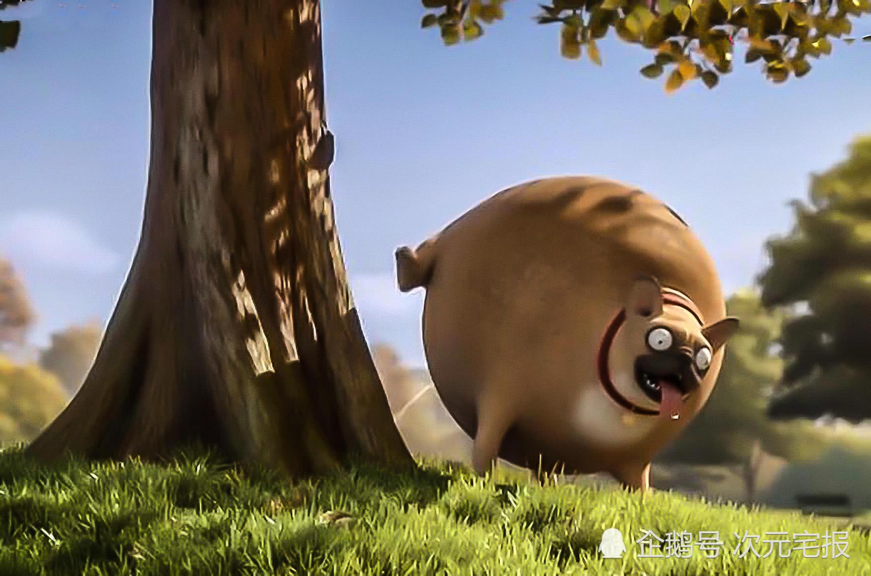 当所有动物都变成球型会发生什么？这个动画电影太搞笑了！