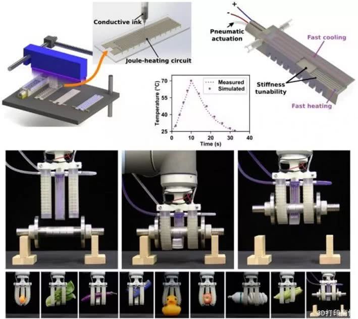 多材料3D打印：热激活形状记忆聚合物可增强软件机器人承载能力