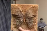 艺术效果别具一格高玩晒出1万只牙签制作的可变色蝴蝶