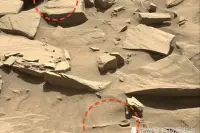 火星上出现不明物体，疑似“生物形状”，看到照片让人浮想联翩！