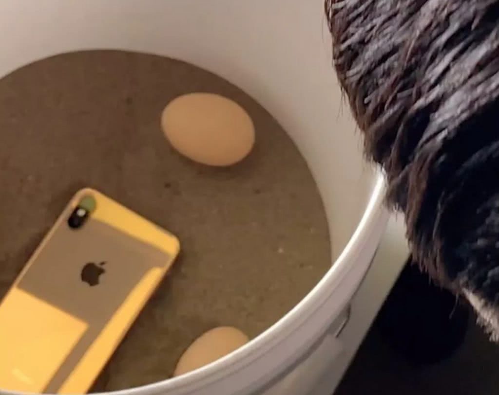 苹果春节短片《一个桶》上线，iPhoneXS拍摄