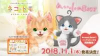 与可爱猫咪们共组温馨家庭！《neko-tomo》日本发售日决定