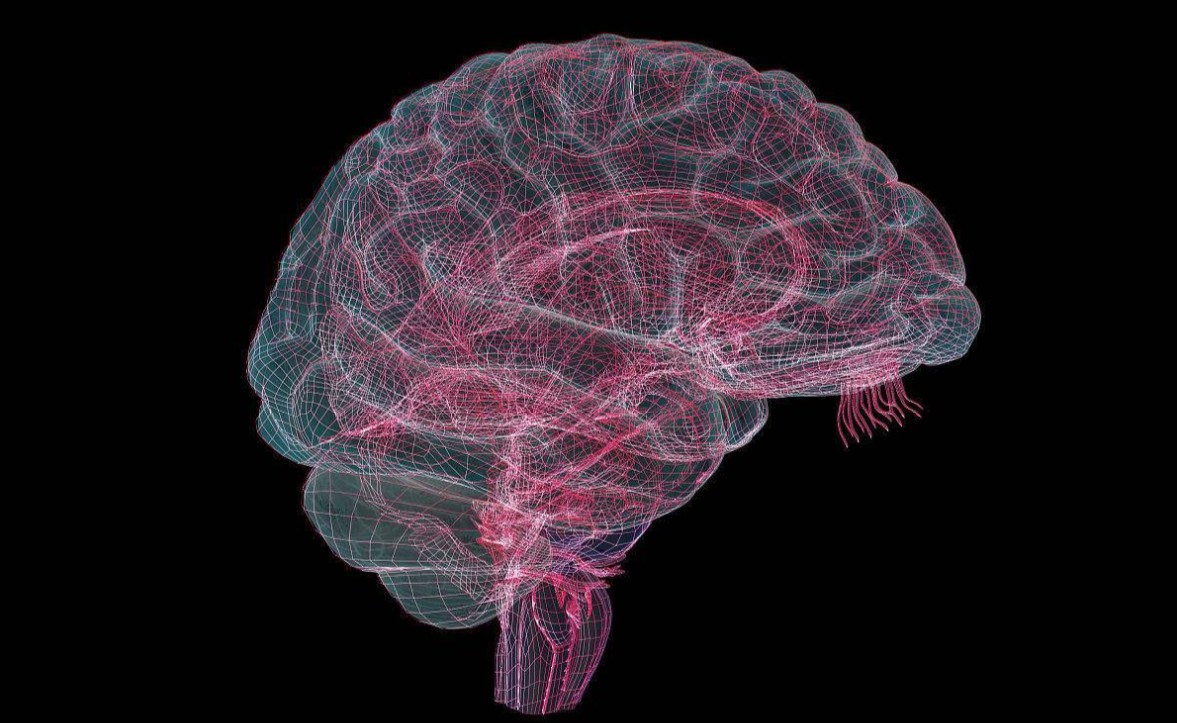 你大脑中有僵尸细胞吗？科学家：肥胖的人更多，或许与焦虑有关！