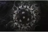 PNAS：揭示人体蛋白Apobec3A抑制HIV重新激活机制