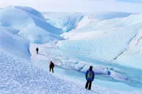 南极出现“不明物体”？这些东西本不该出现在这！让科学家担忧！