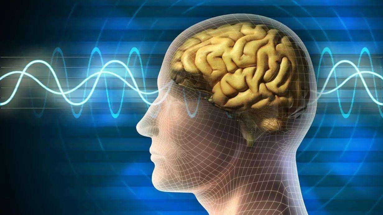 意念交流成为现实？美科学家将脑电波转换为语音，发展前景广阔！