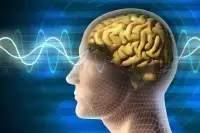 意念交流成为现实？美科学家将脑电波转换为语音，发展前景广阔！