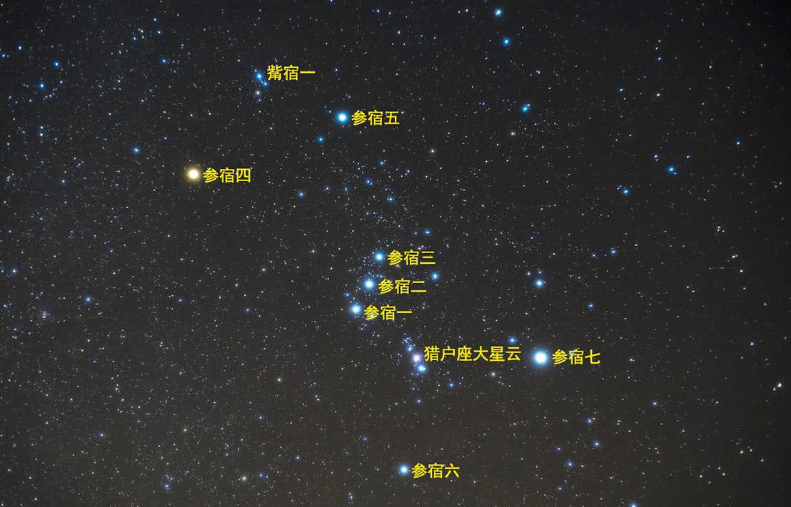 猎户座中的七大亮星哪个将要脱离主序阶段？哪个实际最亮？