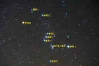 猎户座中的七大亮星哪个将要脱离主序阶段？哪个实际最亮？