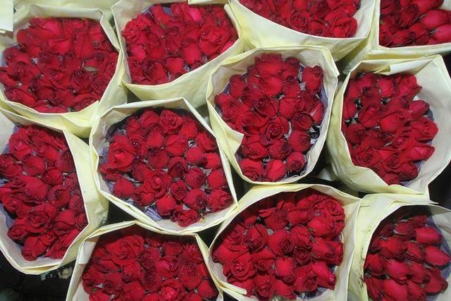 你在情人节送的玫瑰，可能会成为全球变暖的帮凶