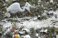 海洋垃圾问题日益严峻？看3D打印如何变废为宝！