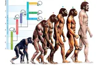 地球上的第一个人是怎么进化出来的？