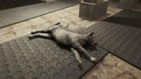 嫌开发者不了解猫《异尘余生4》玩家自制模组让猫更为拟真