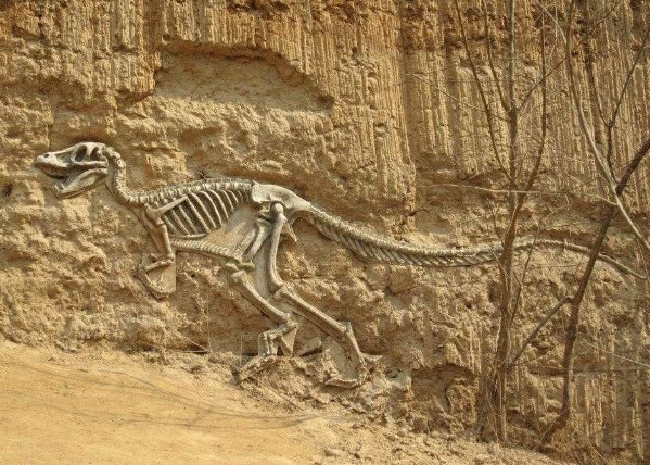 恐龙统治地球亿万年，那么人类能有多久？科学家的答案令人心痛