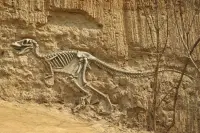 恐龙统治地球亿万年，那么人类能有多久？科学家的答案令人心痛